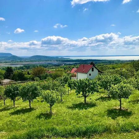 Oereghegyi Panorama Villa, *