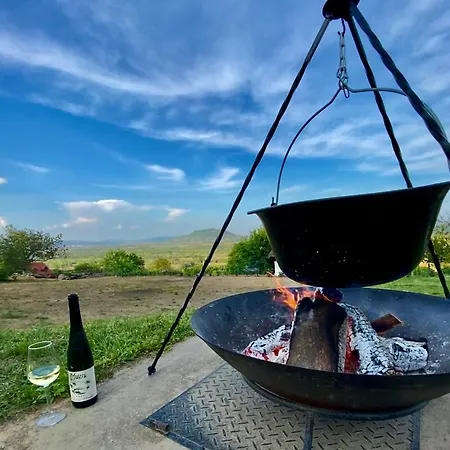 Oereghegyi Panorama Villa,