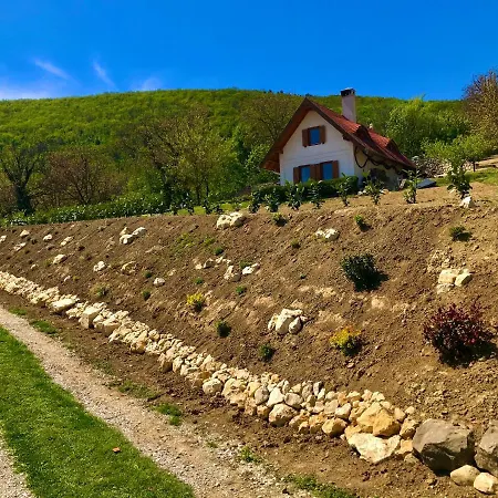 Vila Oereghegyi Panorama Villa,