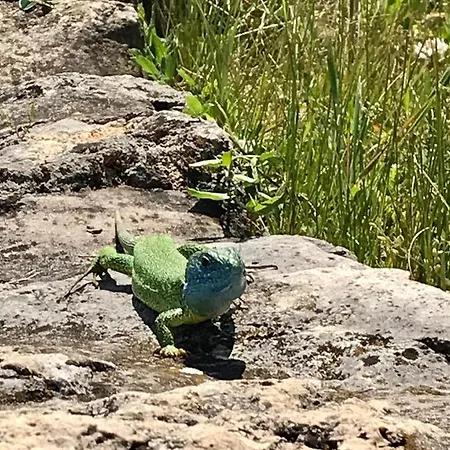 Oereghegyi Panorama Villa, Βίλα Balatonederics