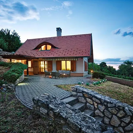 Vila Oereghegyi Panorama Villa, *