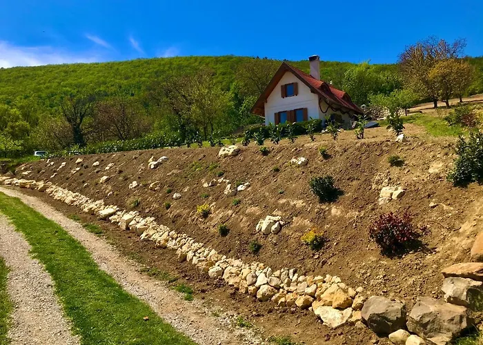 Вилла Oereghegyi Panorama Villa,